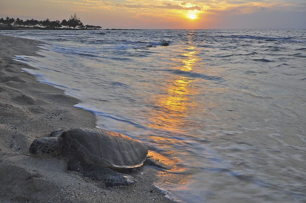 Kukio Beah on the Big Island of Hawaii