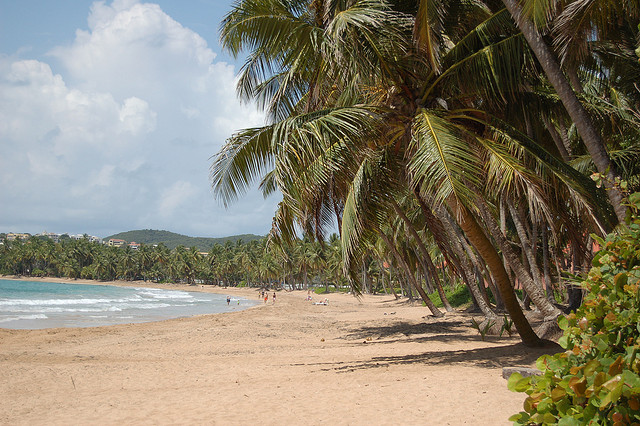 A beautiful beach in Puerto Rico