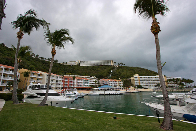 A marina in Puerto Rico 