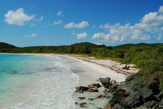 A beach in Vieques, Puerto Rico