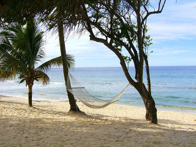 An empty hammock on a beach in St. Croix, US Virgin Islands