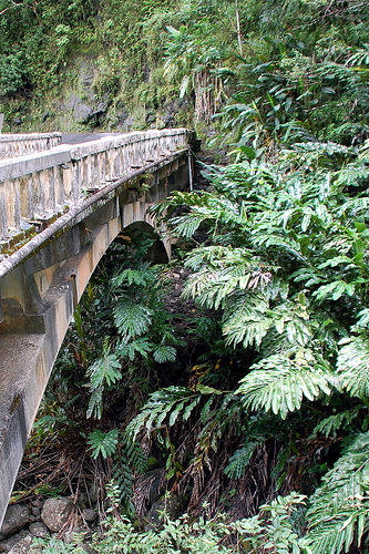One Lane Bridge on the Road to Hana, Maui