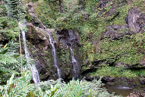 Waterfalls seen on the Road to Hana